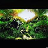(Category: ) located in . Submitted by zaquaria (Listing ID 1359869914, Image 1). Description: .