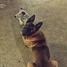(Category: ) located in . Submitted by acesfred-0 (Listing ID 1377117522, Image 1). Description: .