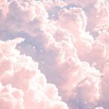 (分類:)位於 。 由 xrxexnxex 提交(商品編號 1440047499,圖片 1)。簡介: 。