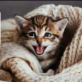 (Category: ) located in . Submitted by happiness.potter (Listing ID 1343582269, Image 1). Description: .