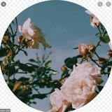 (Category: ) located in . Submitted by julainz (Listing ID 1375347737, Image 1). Description: .