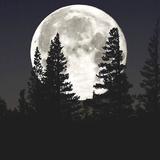 (Kategori: ) berada di . Dikirim oleh moonstuffss (ID iklan 1385880784, Gambar 1). Deskripsi: .