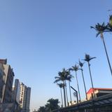 由 nina1001 (刊登 ID 1371805442，圖片 1) 提交，位於 的 (類別：)，說明：。