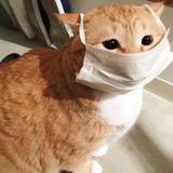 (Category: ) located in . Submitted by icemelted (Listing ID 1247615959, Image 1). Description: .