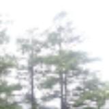 （分類：）位於 。 由 eindhiwons 提交（商品編號 1385471525，圖片 1）。簡介： 。