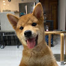 (Category: ) located in . Submitted by jinlim7 (Listing ID 1350816894, Image 1). Description: .