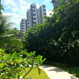 (Category: ) located in . Submitted by syian (Listing ID 1379065490, Image 1). Description: .