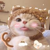 (Category: ) located in . Submitted by hanna_001 (Listing ID 1102429425, Image 1). Description: .