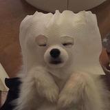 頭像