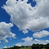 (Category: ) located in . Submitted by cloud605 (Listing ID 1302520770, Image 1). Description: .