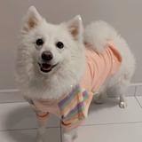 (Category: ) located in . Submitted by jaime_chew (Listing ID 1453348018, Image 1). Description: .