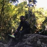 (Category: ) located in . Submitted by stewardyeo (Listing ID 1385384397, Image 1). Description: .