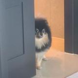 (Category: ) located in . Submitted by pink.cloud (Listing ID 1378863493, Image 1). Description: .