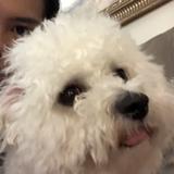 (Category: ) located in . Submitted by whitewallflower (Listing ID 1378461076, Image 1). Description: .