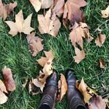 (Category: ) located in . Submitted by slwm1 (Listing ID 1288769927, Image 1). Description: .