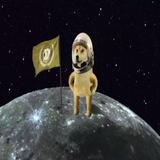 (Category: ) located in . Submitted by dogefather (Listing ID 1343533240, Image 1). Description: .