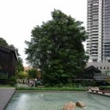 (Category: ) located in . Submitted by aspire1 (Listing ID 1374252047, Image 1). Description: .