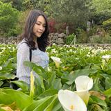 由 kathy820818 (刊登 ID 1382541350，圖片 1) 提交，位於 的 (類別：)，說明：。