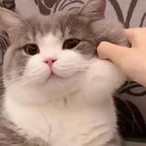 （分類：）位於 。 由 tungwaka 提交（商品編號 1373537120，圖片 1）。簡介： 。