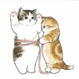 由 yiru.lee04 (刊登 ID 1382542778，圖片 1) 提交，位於 的 (類別：)，說明：。