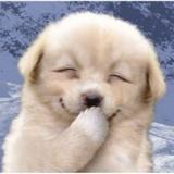 (Category: ) located in . Submitted by harmony_official (Listing ID 1362105913, Image 1). Description: .