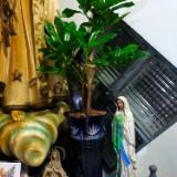 (Category: ) located in . Submitted by chrisconradbautista (Listing ID 1381434244, Image 1). Description: .