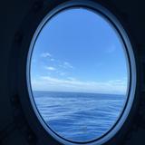 由 oceanlily29 (刊登 ID 1226567669，圖片 1) 提交，位於 的 (類別：)，說明：。
