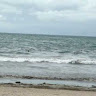 (Category: ) located in . Submitted by toh_jl (Listing ID 1384603877, Image 1). Description: .