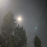 (Category: ) located in . Submitted by meeppmeepp (Listing ID 1116910784, Image 1). Description: .