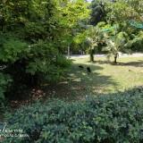 (Category: ) located in . Submitted by tanchien (Listing ID 1381473679, Image 1). Description: .