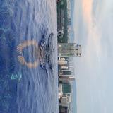 (Category: ) located in . Submitted by -aidil- (Listing ID 1384591225, Image 1). Description: .