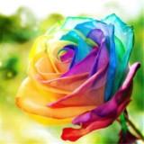 (Category: ) located in . Submitted by silver.rain (Listing ID 1364878486, Image 1). Description: .