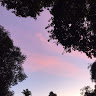 (Category: ) located in . Submitted by joyytz (Listing ID 1362055768, Image 1). Description: .
