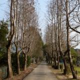 由 manfester (刊登 ID 1384382875，圖片 1) 提交，位於 的 (類別：)，說明：。