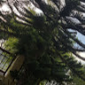 (Category: ) located in . Submitted by micrav (Listing ID 1255393873, Image 1). Description: .
