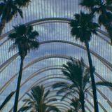 (Category: ) located in . Submitted by iiiisellz (Listing ID 1382648362, Image 1). Description: .