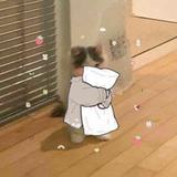 (Category: ) located in . Submitted by crispymalapotatoes (Listing ID 1325741150, Image 1). Description: .