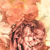 （分類：）位於 。 由 sandra__l 提交（商品編號 1211175034，圖片 1）。簡介： 。