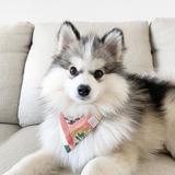 (Category: ) located in . Submitted by zowe (Listing ID 1383819241, Image 1). Description: .