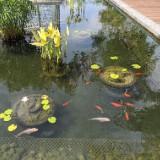 (Category: ) located in . Submitted by michiwon (Listing ID 1379770329, Image 1). Description: .