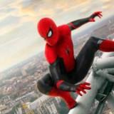 (Category: ) located in . Submitted by spidermanz (Listing ID 1462069888, Image 1). Description: .