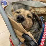 （分類：）位於 。 由 cc061_ 提交（商品編號 1254979520，圖片 1）。簡介： 。