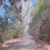 （分類：）位於 。 由 Graysonshine 提交（商品編號 1159223720，圖片 1）。簡介： 。