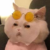 (Category: ) located in . Submitted by gudetamax (Listing ID 1381388176, Image 1). Description: .
