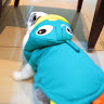 由 lornsharkcat (刊登 ID 1363836830，圖片 1) 提交，位於 的 (類別：)，說明：。