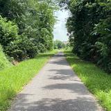 (Category: ) located in . Submitted by xjysze (Listing ID 1372952151, Image 1). Description: .