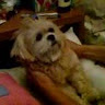 (Category: ) located in . Submitted by teooooo (Listing ID 1335888530, Image 1). Description: .