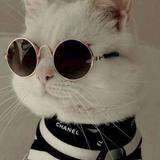 (Kategori: ) berada di . Dikirim oleh prelovedbysnoppy (ID iklan 1373255816, Gambar 1). Deskripsi: .