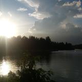 (Category: ) located in . Submitted by horsewing (Listing ID 1375567037, Image 1). Description: .