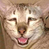 頭像